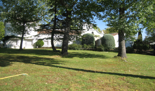 Ciguiñuelas